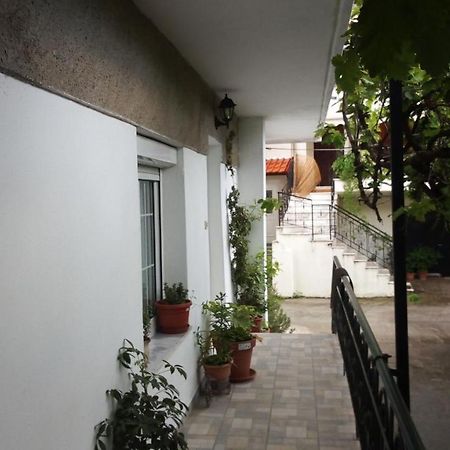 Big Apartment Near Olympus Mountain Litochoron Bagian luar foto